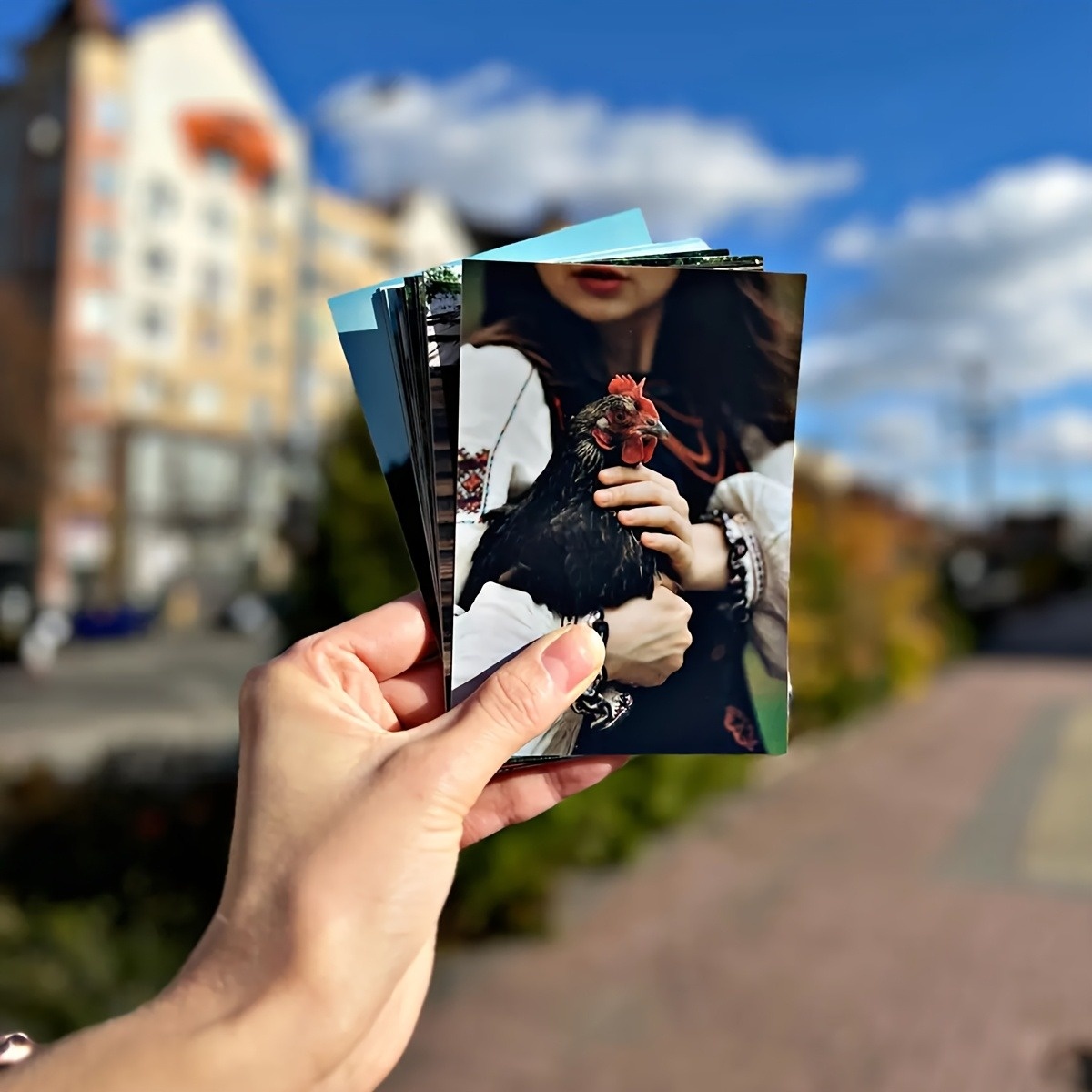 มีให้เลือก 1/3/6 ชิ้น, ภาพพิมพ - Photography Website บทวิจารณ์และราคา